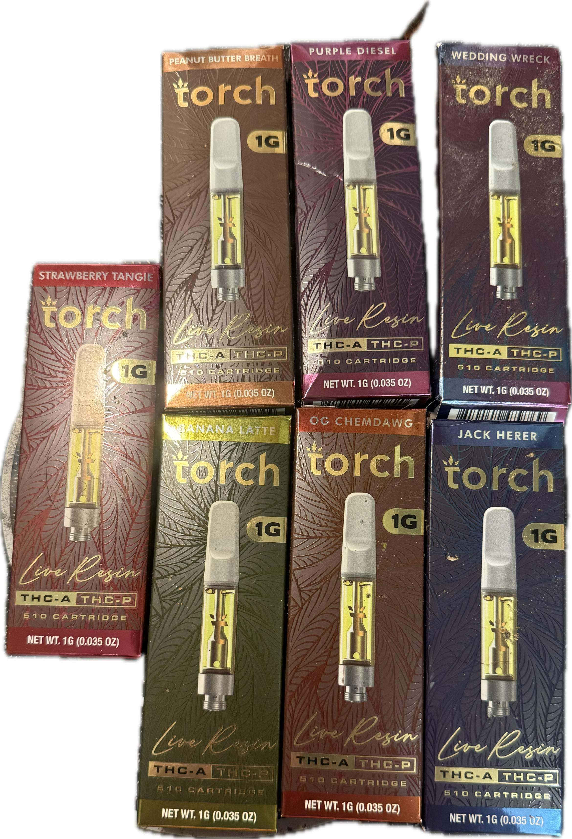 Torch - Live - 1G