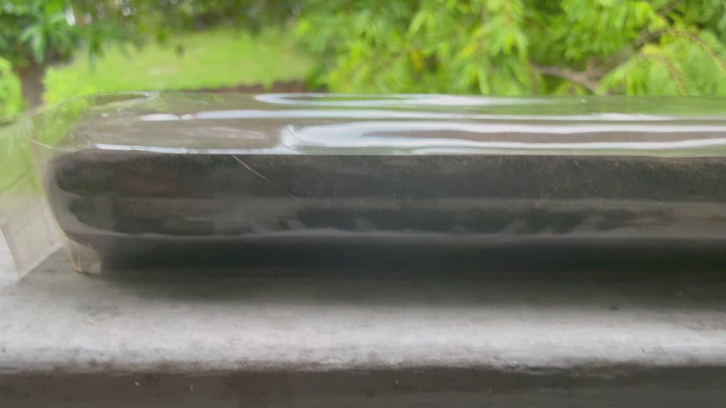 Ripkitty x Antonio Forelli, AF: Trunk Muzik