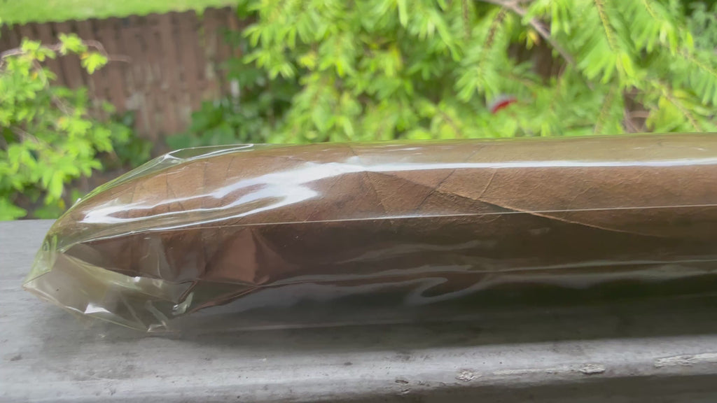 Ripkitty x Antonio Forelli, AF: Body Count