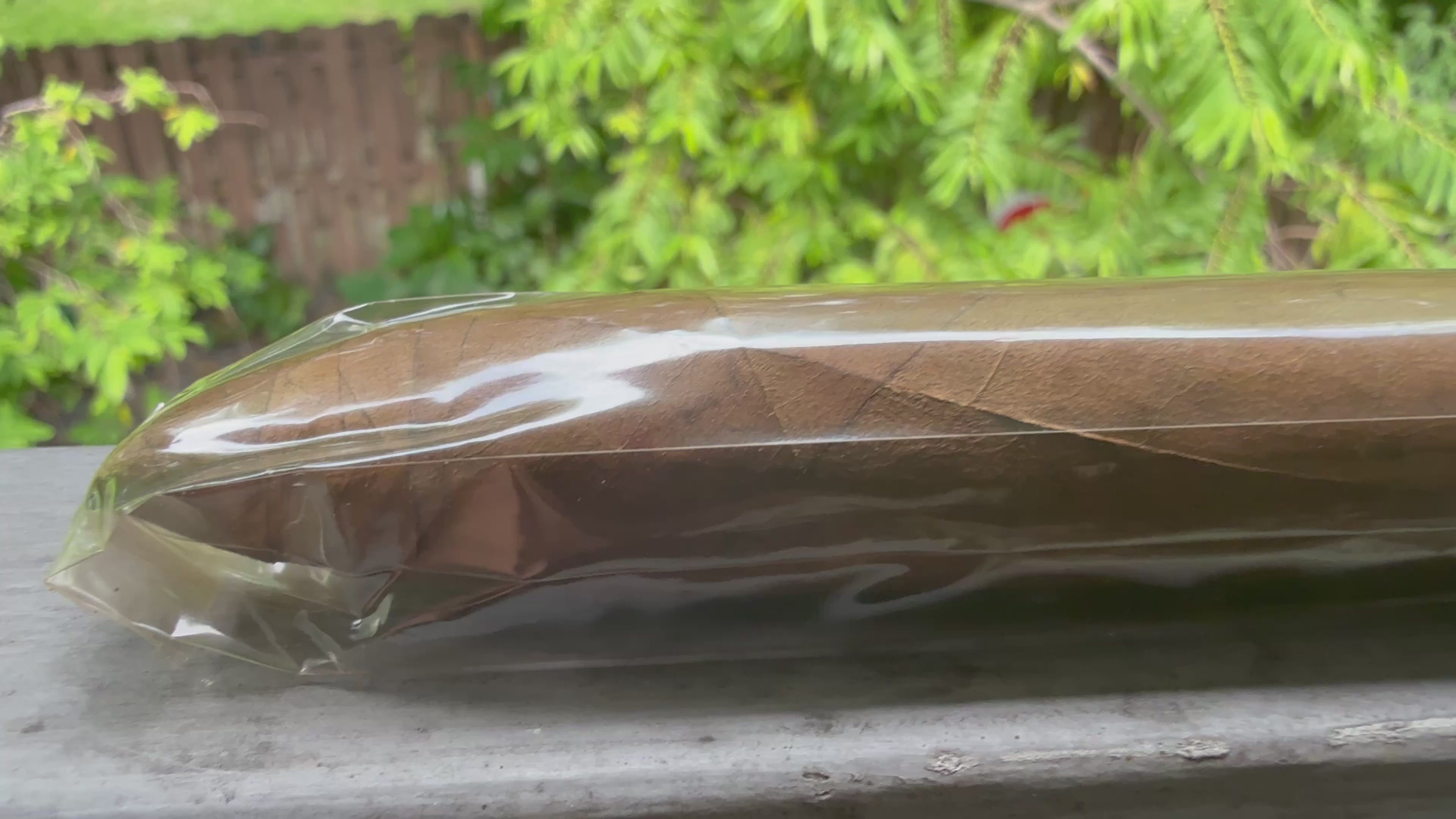 Ripkitty x Antonio Forelli, AF: Body Count